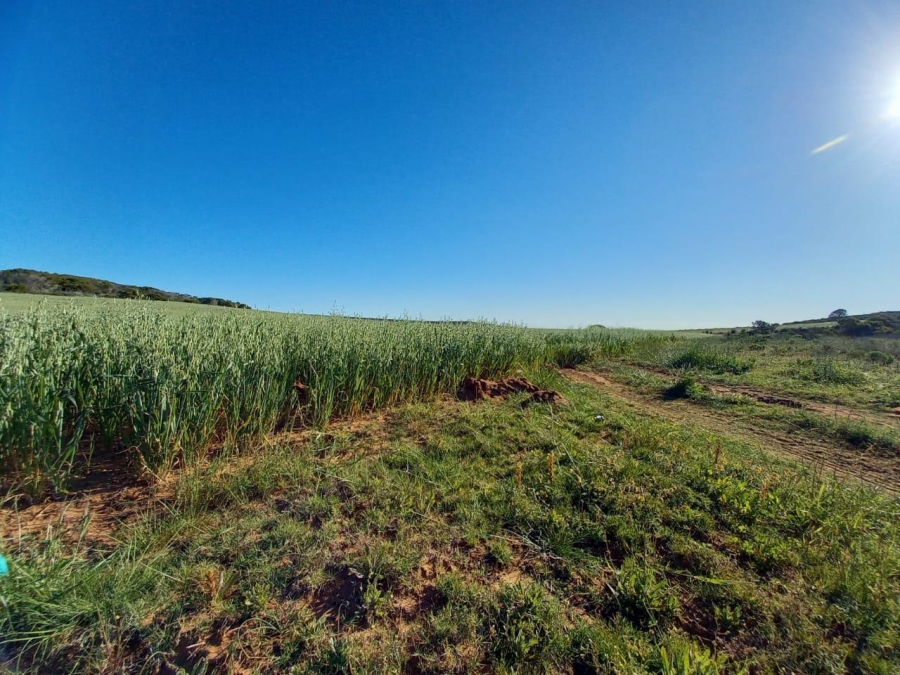 0 Bedroom Property for Sale in Riversdale Rural Western Cape